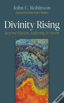 Capa do artigo Divinity Rising