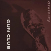 Capa do artigo Divinity - Vinil