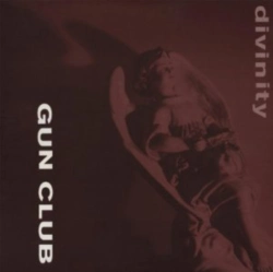 Capa do artigo Divinity - Vinil