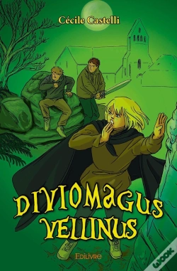 Capa do artigo Diviomagus Vellinus