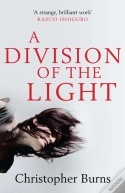Capa do artigo Division Of The Light