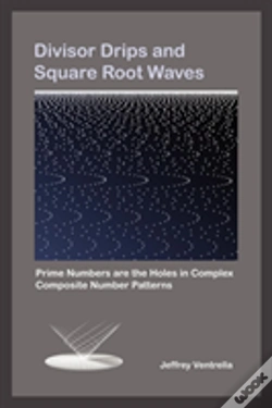 Capa do artigo Divisor Drips And Square Root Waves