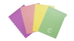 Capa do artigo Divisórias pastel grande A4 para Caderno Inteligente