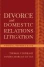 Divorce And Domestic Relations Litigation - Preview