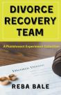 Divorce Recovery Team - Preview
