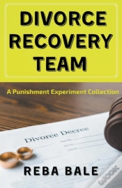 Capa do artigo Divorce Recovery Team