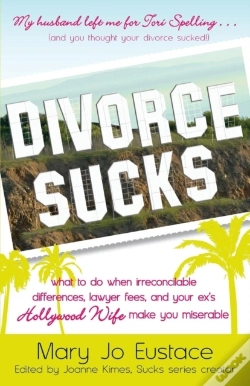 Capa do artigo Divorce Sucks