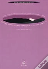 Divórcio, Monoparentalidade e Recasamento 