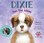 Dixie Has The Ickies - Preview
