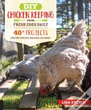 Diy Chicken Keeping From Fresh Eggs Daily