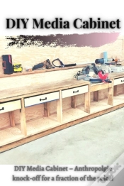 Capa do artigo Diy Media Cabinet