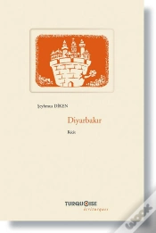 Capa do artigo Diyarbakir