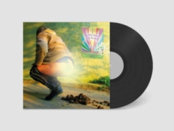 Capa do artigo DJ Marcelle - Vinil
