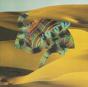 Django Django - CD - Preview