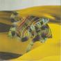 Django Django - CD - Preview