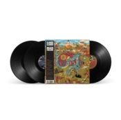 Capa do artigo Django Django - Vinil