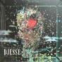 Djesse Vol. 4 - Vinil - Preview