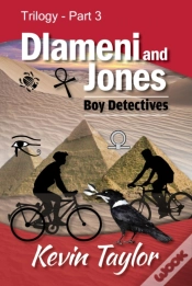 Capa do artigo Dlameni & Jones Part 3