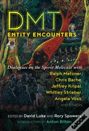 Capa do artigo Dmt Entity Encounters
