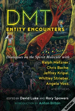 Capa do artigo Dmt Entity Encounters