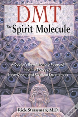 Capa do artigo Dmt: The Spirit Molecule