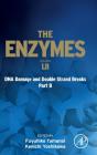 Dna Damage And Double Strand Breaks Part B - Preview