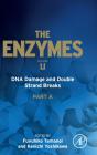Dna Damage And Double Strand Breaks - Preview
