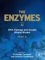 Dna Damage And Double Strand Breaks - Preview