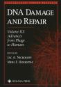 Dna Damage And Repair - Preview