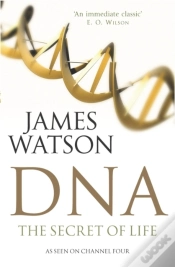 Capa do artigo Dna