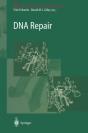 Dna Repair - Preview