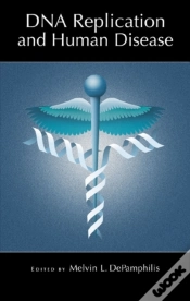 Capa do artigo Dna Replication And Human Disease