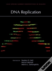 Dna Replication