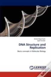 Dna Structure And Replication