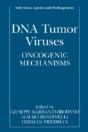Dna Tumor Viruses - Preview