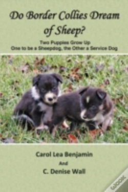 Capa do artigo Do Border Collies Dream Of Sheep?