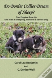 Capa do artigo Do Border Collies Dream Of Sheep?