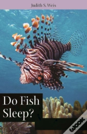 Do Fish Sleep?