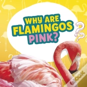 Capa do artigo Do Flying Fish Really Fly?