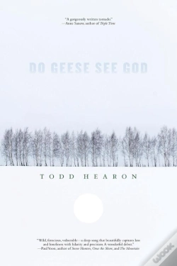 Capa do artigo Do Geese See God