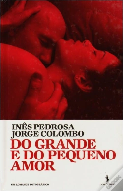 Capa do artigo Do Grande e do Pequeno Amor