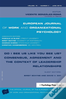 Do I See Us Like You See Us? Consensus, Agreement, And The Context Of Leadership Relationships