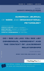 Do I See Us Like You See Us? Consensus, Agreement, And The Context Of Leadership Relationships - Preview