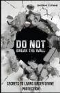 Do Not Break The Wall! - Preview