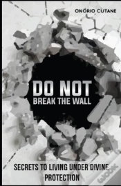 Capa do artigo Do Not Break The Wall!