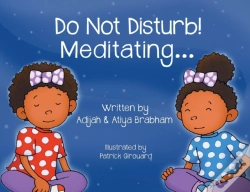 Capa do artigo Do Not Disturb! Meditating...