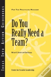 Capa do artigo Do You Really Need A Team?: