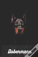 Dobermann