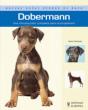 Dobermann - Preview