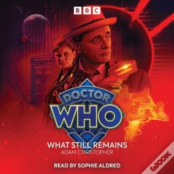 Capa do artigo Doctor Who: What Still Remains